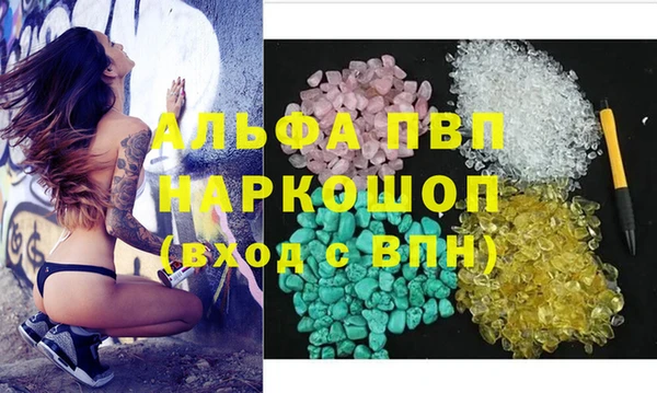 гашик Абаза