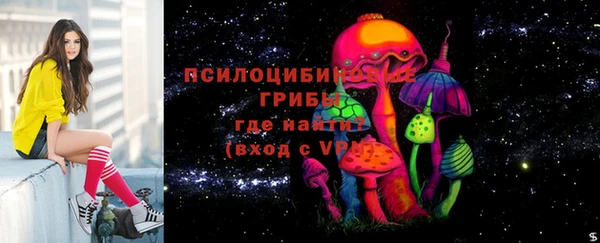 гашик Абаза