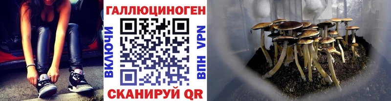 Псилоцибиновые грибы GOLDEN TEACHER  нарко площадка как зайти  Азов 
