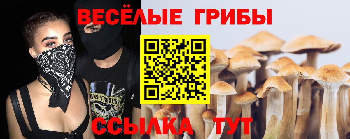 Псилоцибиновые грибы Psilocybe Азов