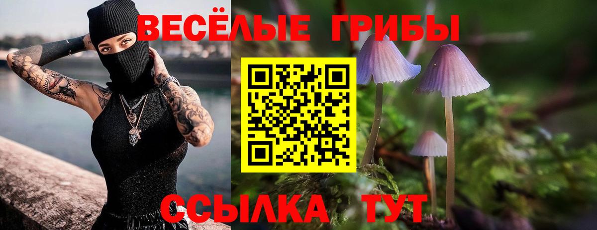 Псилоцибиновые грибы ЛСД  Вход с VPN  Азов 