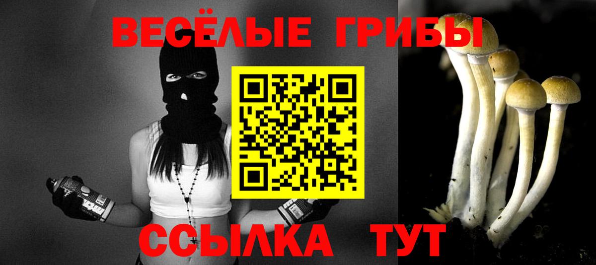 цены   Азов  Галлюциногенные грибы Psilocybine cubensis  Псилоцибиновые грибы MAGIC MUSHROOMS 